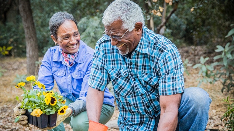Elderly couple planting pansies in a garden photo